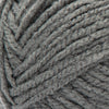 Grey Squirrel