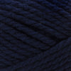 Navy Night