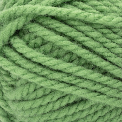Bernat Softee Chunky Yarn (100g/3.5oz) - Discontinued Shades Limelight