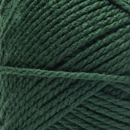 Bernat Softee Chunky Yarn (400g/14oz) Dark Green