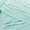 Icy Aqua