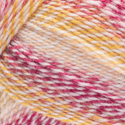 Bernat Sport Ombre Twist Yarn (280g/9.9oz) Sorbet