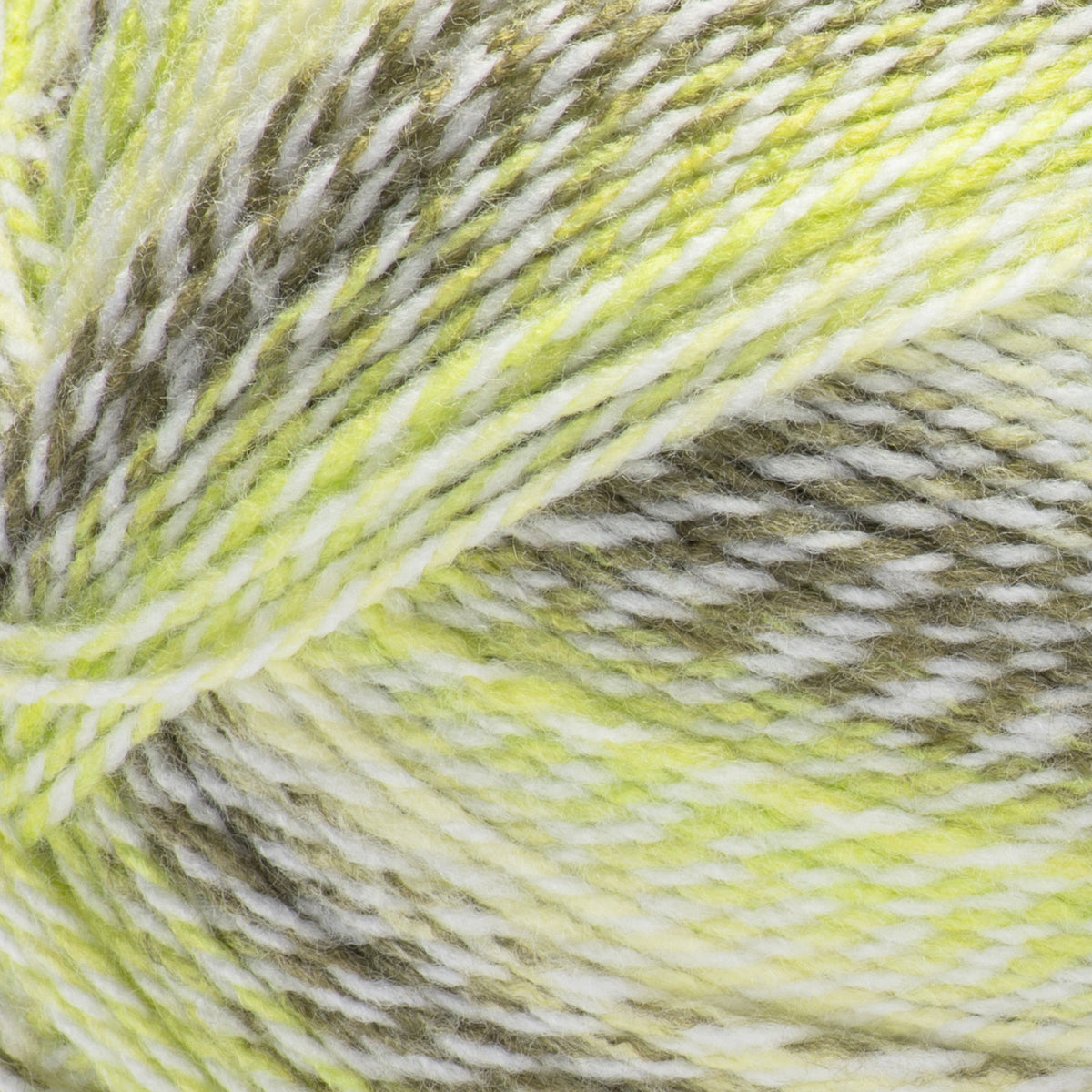 Lichen