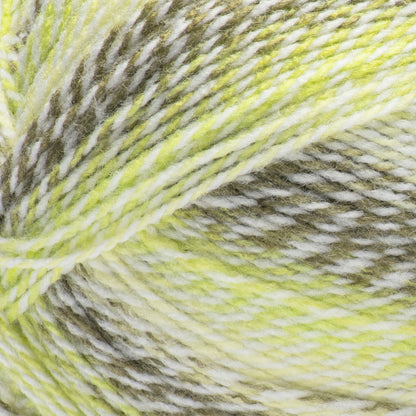 Bernat Sport Ombre Twist Yarn (280g/9.9oz) Lichen