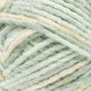 Lichen
