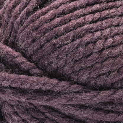 Bernat Future Inspire Yarn (170g/6oz) Plum Luck