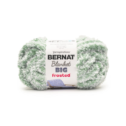 Bernat Blanket Big Frosted Yarn (300g/10.5oz) - Retailer Exclusive Pinegrove