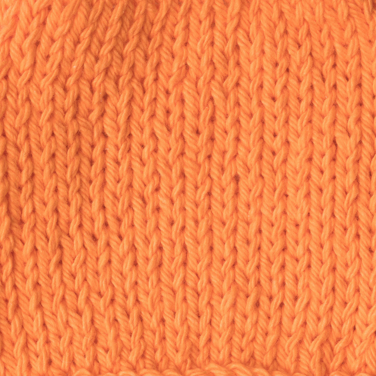 Hot Orange