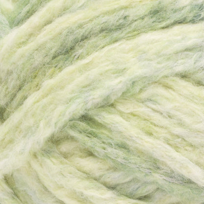 Bernat Super Fluffee Variegates Yarn (180g/6.3oz) Greenery