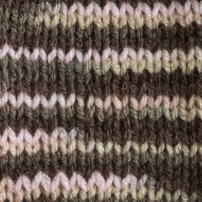 Bernat Super Value Variegates Yarn - Discontinued Shades Pink Taupe