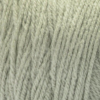 Bernat Premium Yarn Sage Mist