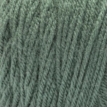Bernat Premium Yarn Ivy