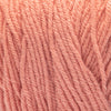 Cantaloupe