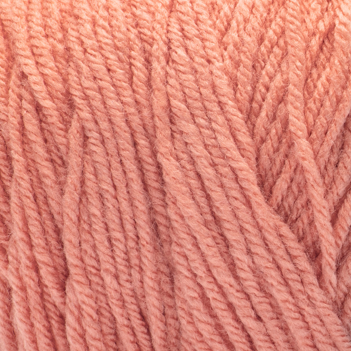Cantaloupe