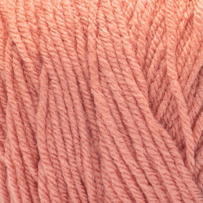 Bernat Premium Yarn Cantaloupe