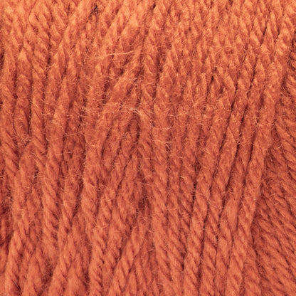 Bernat Premium Yarn Carrot