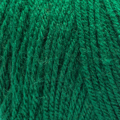 Bernat Premium Yarn Paddy Green