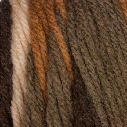 Bernat Super Value Stripes Yarn - Discontinued Shades Beachwood Stripes
