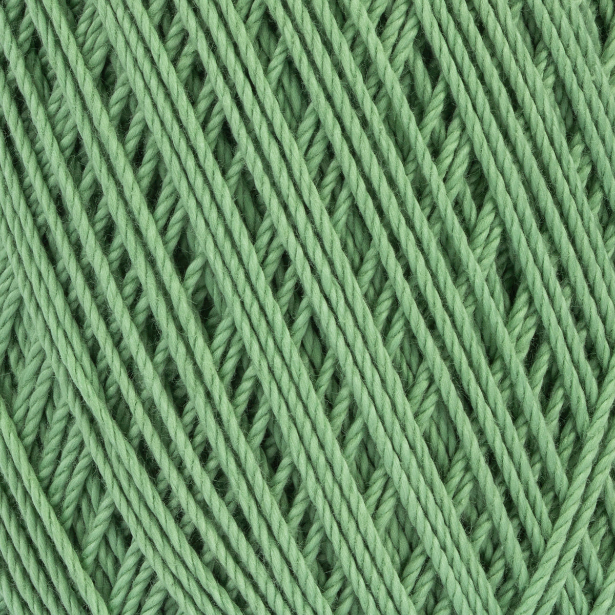 Sage