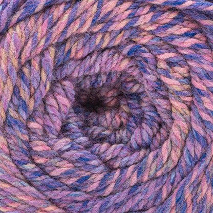 Caron Spice Cakes Yarn (227g/8oz) Raspberry Rainbow