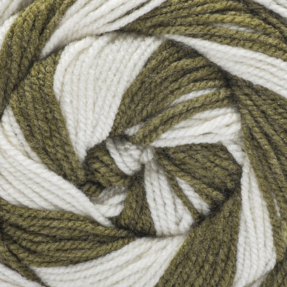 Caron Cinnamon Swirl Cakes Yarn Moss Swirl
