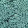 Teal Bloom