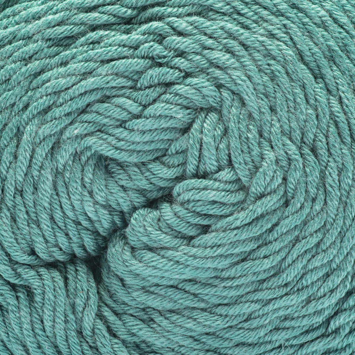 Teal Bloom