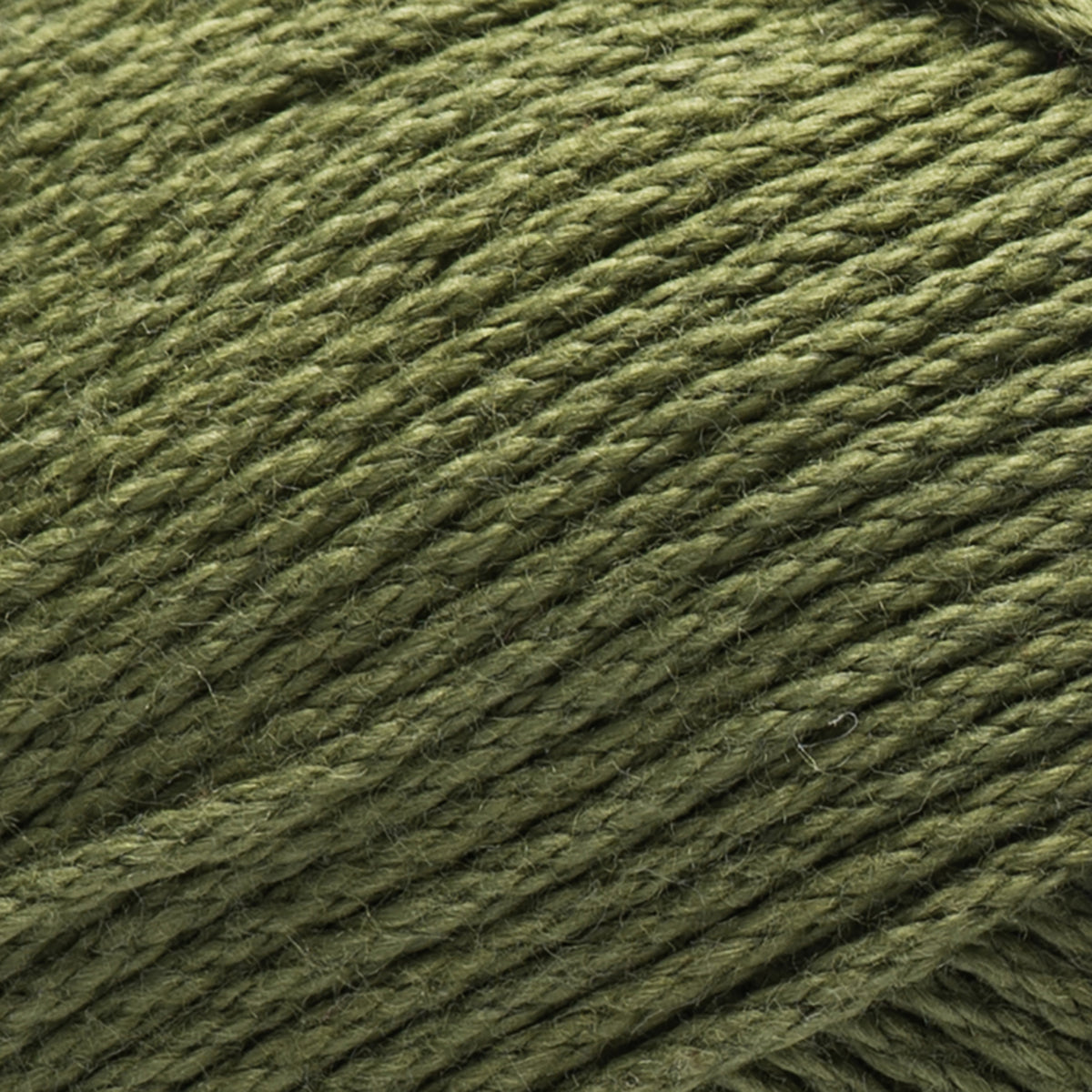 Moss