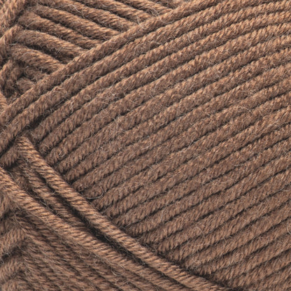 Caron Simply Me Yarn (200g/7oz) Bronzite