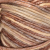 Oyster Shell