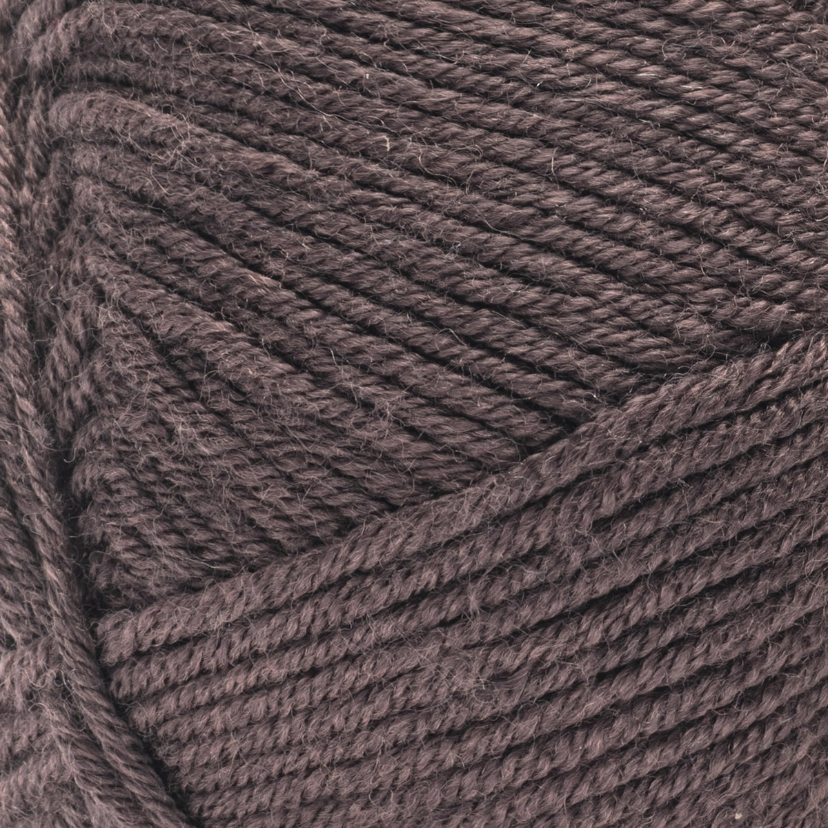 Cocoa Bean Heather