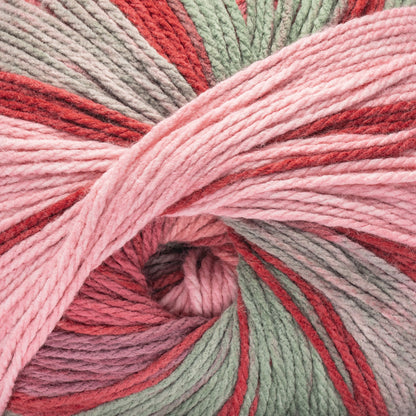 Caron Anniversary Cakes Yarn Special Edition (1000g/35.3oz) Holly Jolly