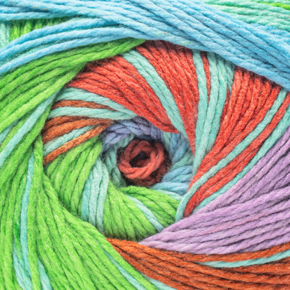 Caron Anniversary Cakes Yarn Special Edition (1000g/35.3oz) Merry Maximus