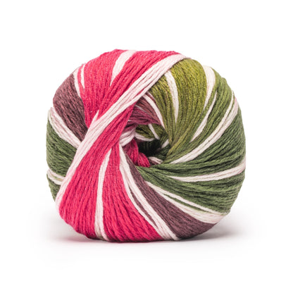 Caron Anniversary Cakes Yarn Special Edition (1000g/35.3oz) Bough & Berry