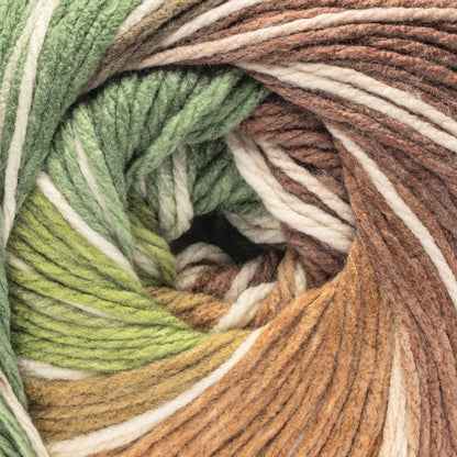 Caron Anniversary Cakes Yarn Special Edition (1000g/35.3oz) Pine Forest