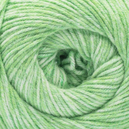 Caron Sweetie Cakes Yarn (227g/8oz) Lilypad