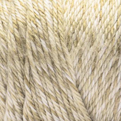 Caron Simply Soft Sunkissed Yarn (141g/5oz) Coconut Tonal