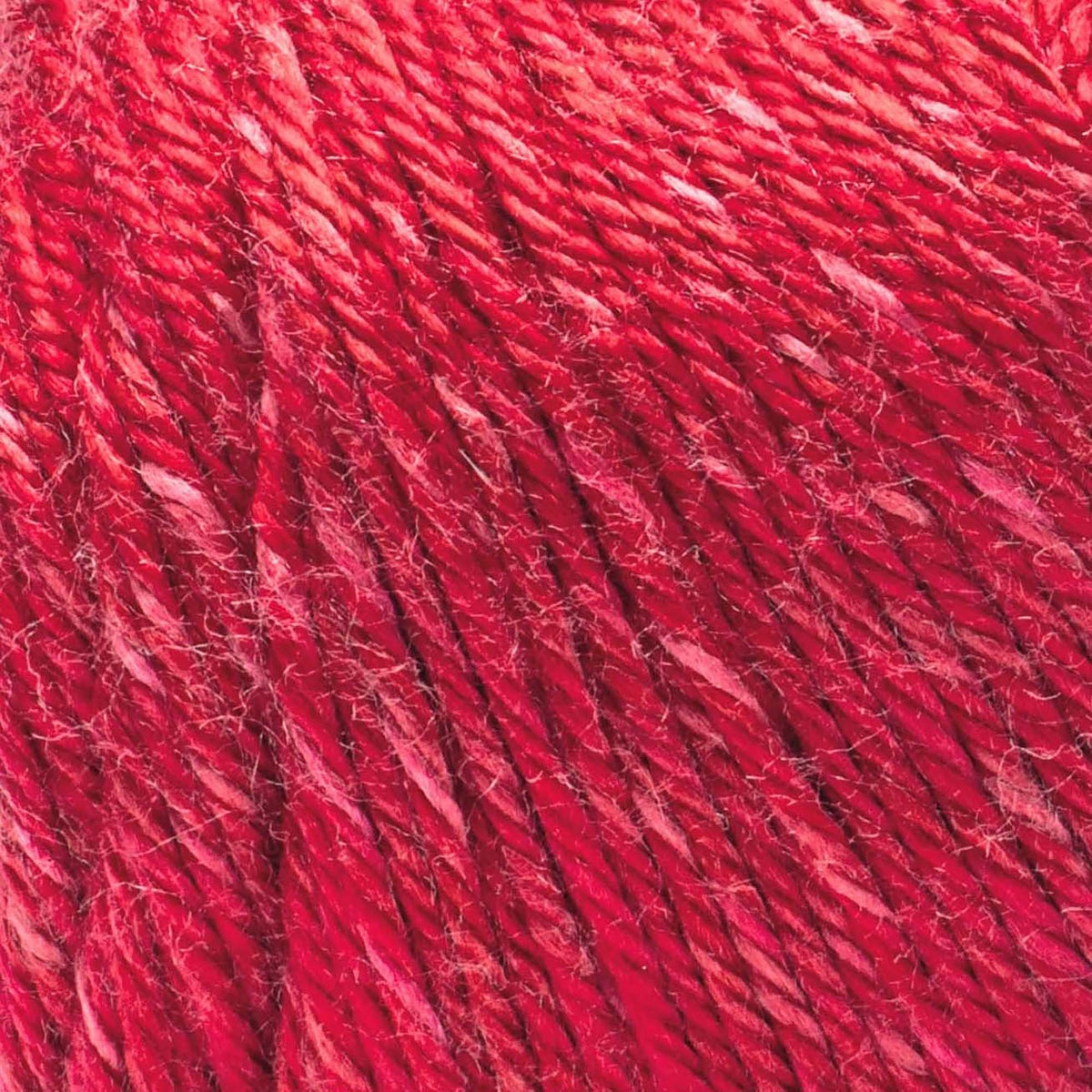 Tomato Tonal