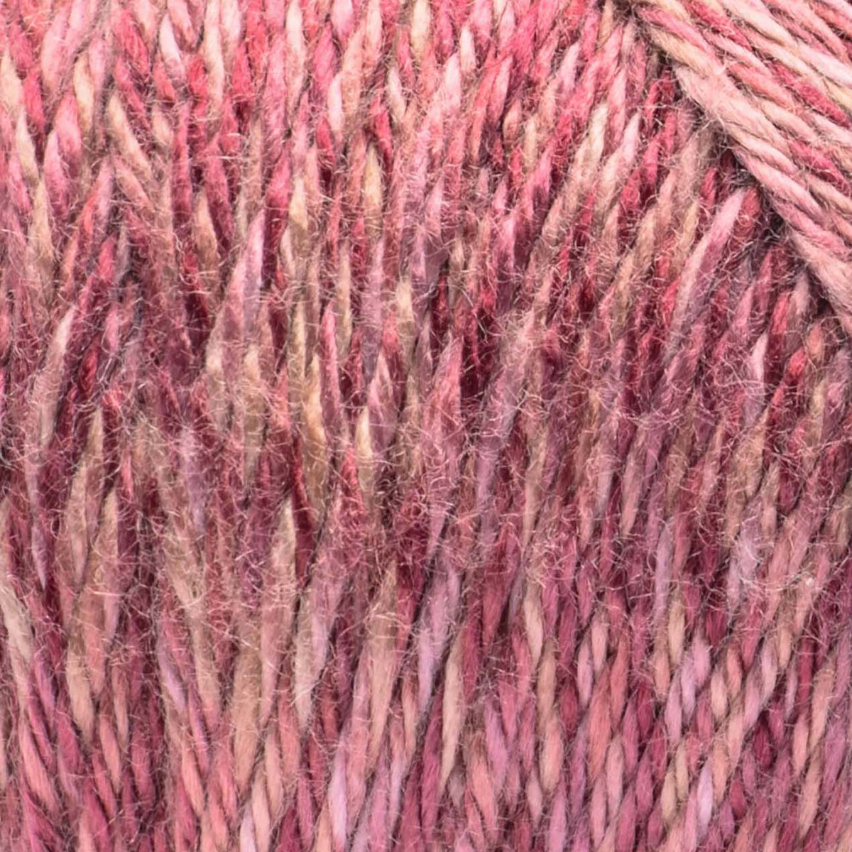 Plum Tonal
