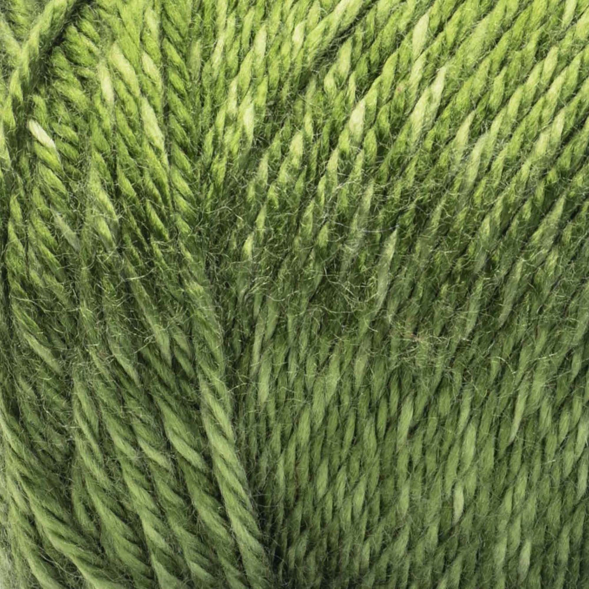 Avocado Tonal