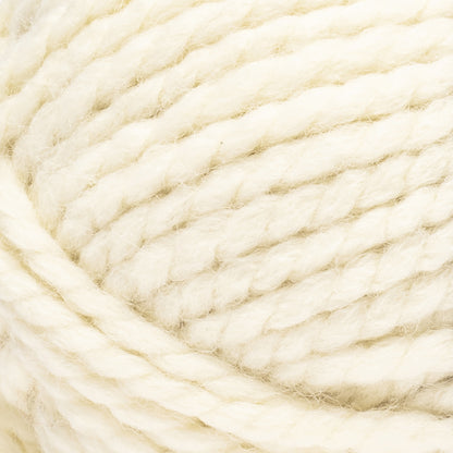 Caron All Day Wool Yarn (170g/6oz) Aran