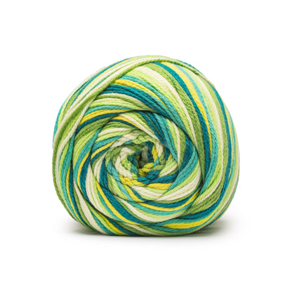 Caron Anniversary Cakes Yarn (1000g/35.3oz) Green Flash