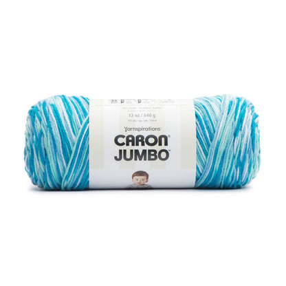 Caron Jumbo Yarn - Discontinued Shades Blue Raspberry