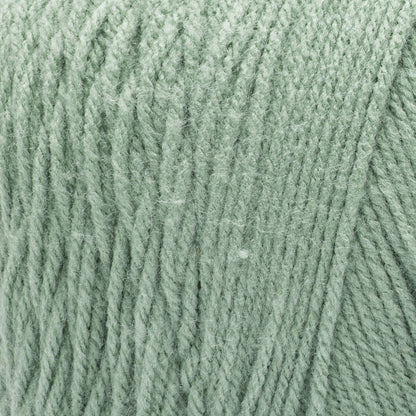 Caron One Pound Yarn (454g/16oz) Succulent