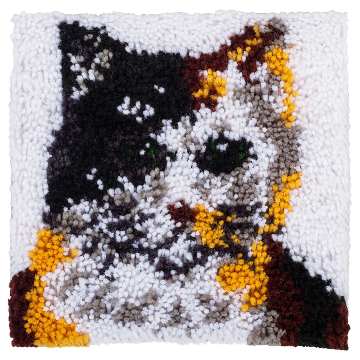 Calico Cat