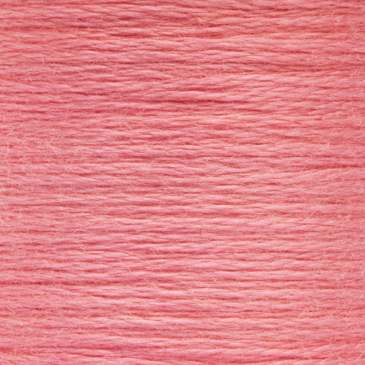 0031 Blush Light