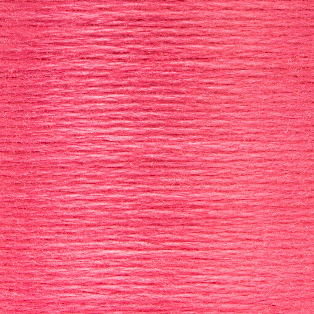 0040 Carmine Rose Light