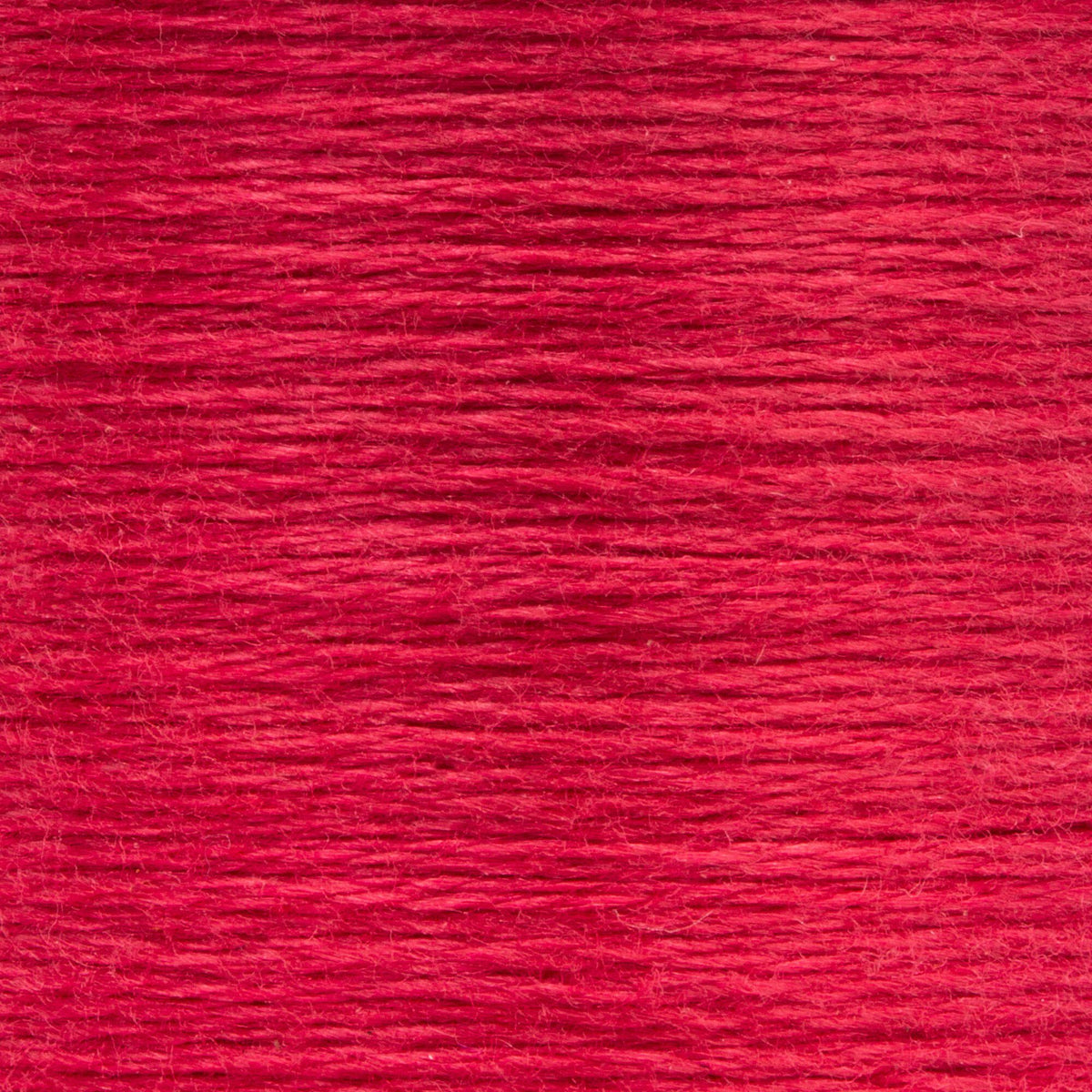 0042 Carmine Rose Medium