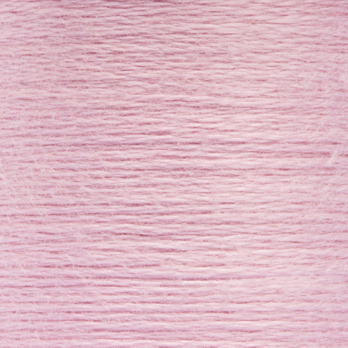 0049 China Rose Light