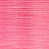 0052 China Rose Medium Dark